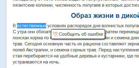 Выделить ошибку