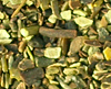 vodorosli