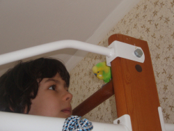 shild and budgies