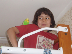 shild and budgies