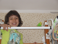 shild and budgies